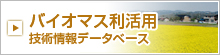 �Х����ޥ������ѡ����Ѿ���ǡ����١���